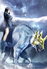 我的明星夫人